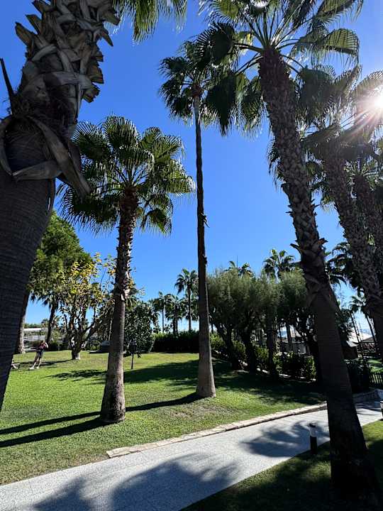 Gartenanlage Hotel Miramare Beach