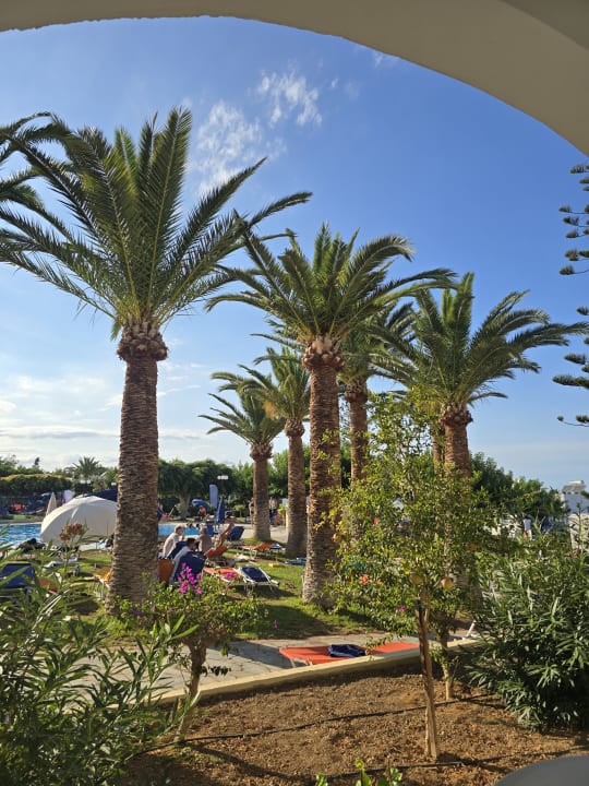 Ausblick TUI SUNEO Chrissi Amoudia