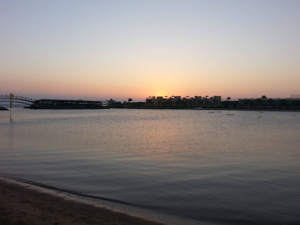 Sonnenaufgang Desert Rose