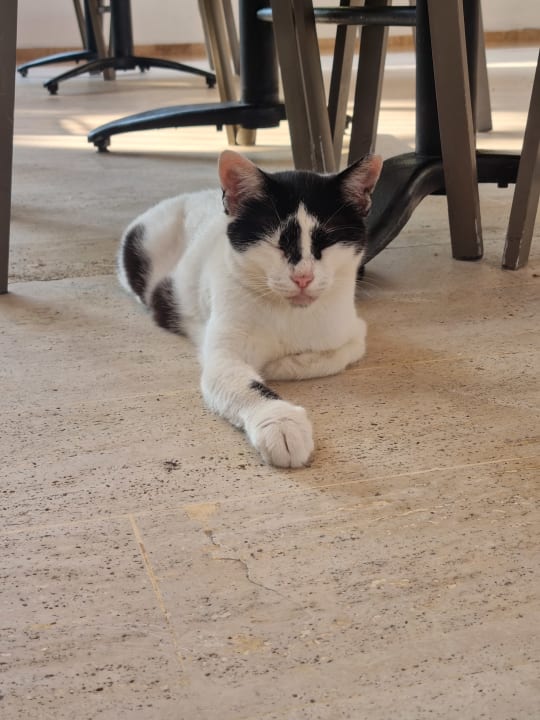 Sonstiges Labranda Alantur Resort