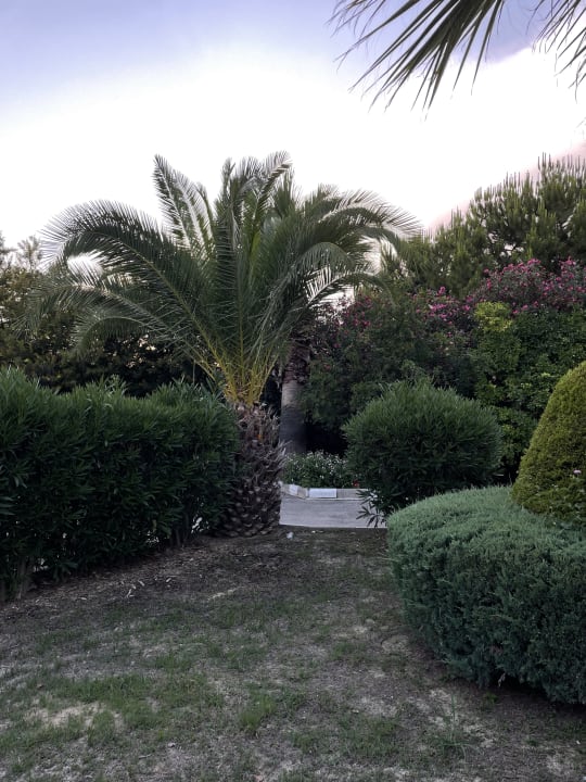 Gartenanlage Sunis Elita Beach Resort & Spa