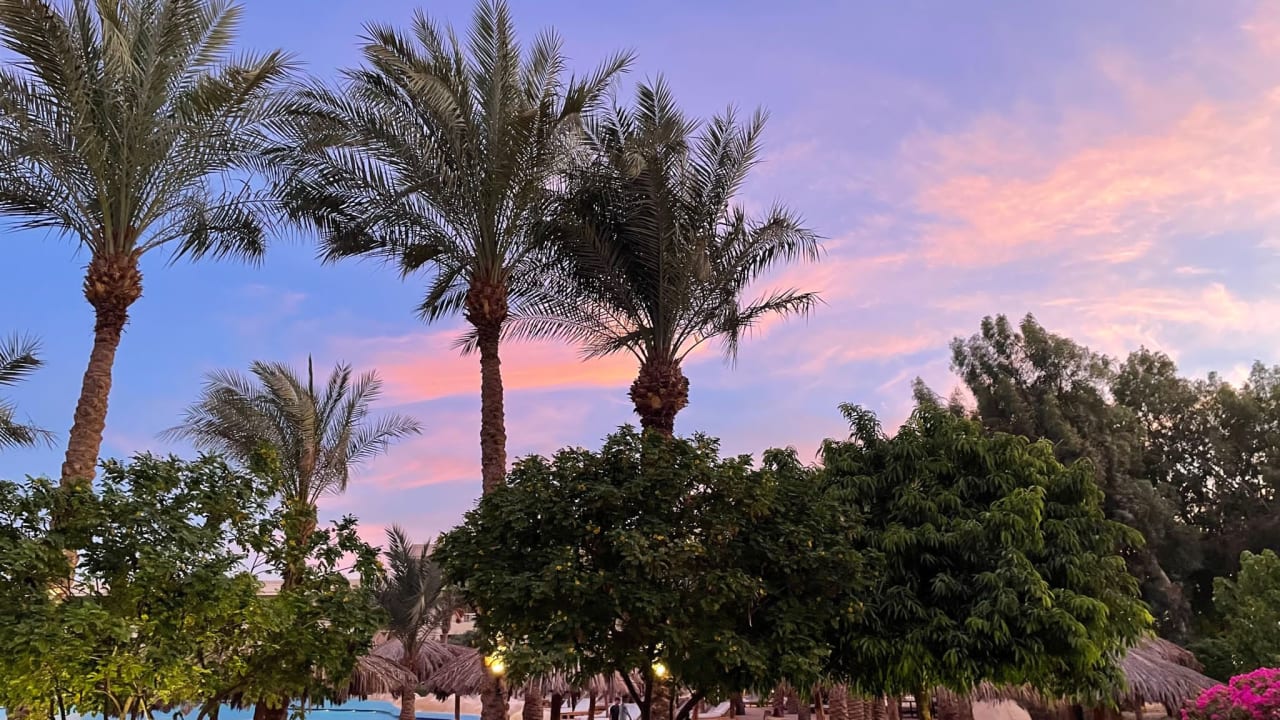 Gartenanlage Sindbad Club