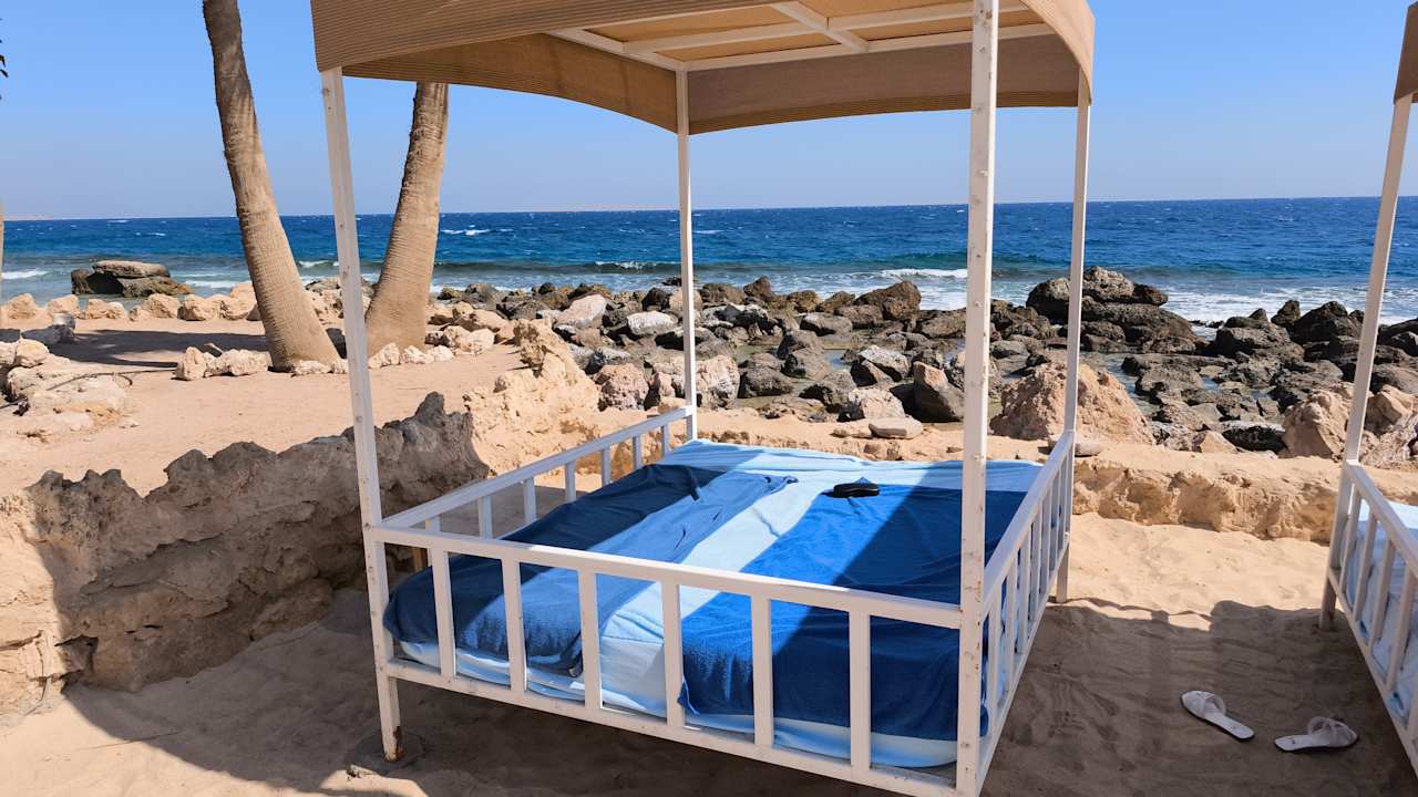 Ausblick Pickalbatros Citadel Resort