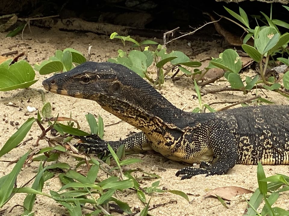 Sonstiges Khao Lak Merlin Resort