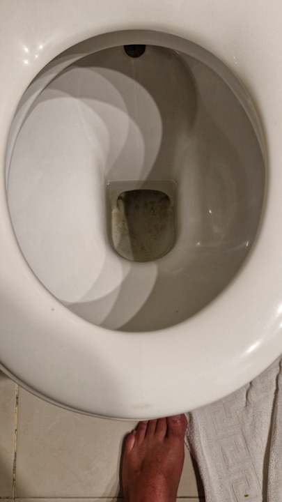 Zimmer Shams Safaga Resort