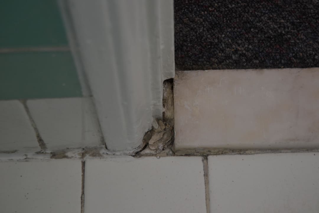 Bad Tropics Hotel Miami Beach