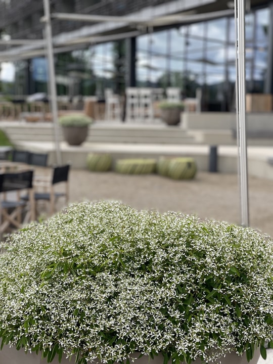 Sonstiges Seezeitlodge Hotel & Spa