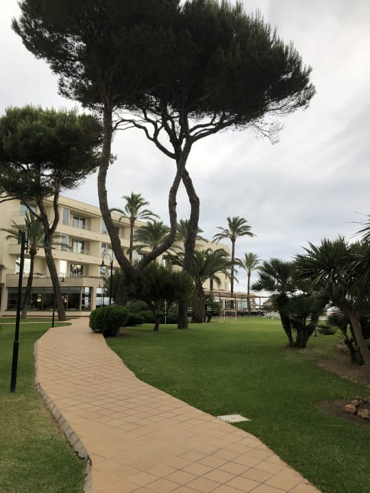 Gartenanlage Grupotel Natura Playa