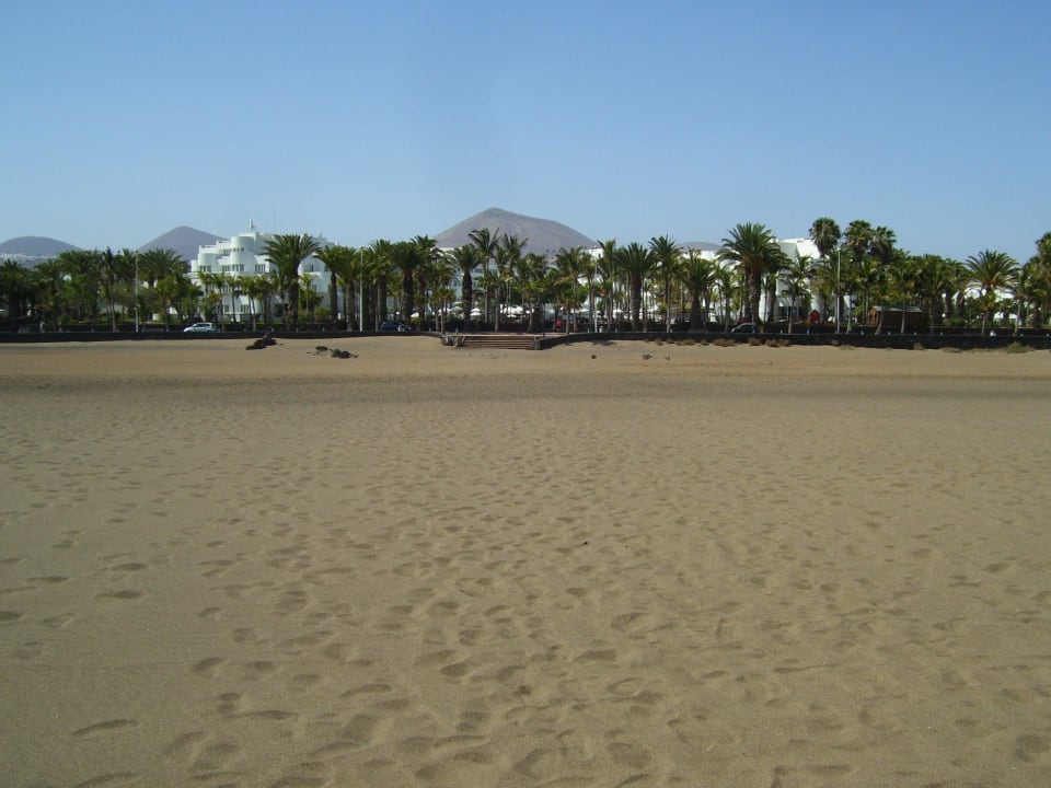 La Geria kaum höher wie die Palmen Hipotels La Geria