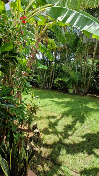 Gartenanlage Akachichi Guesthouse