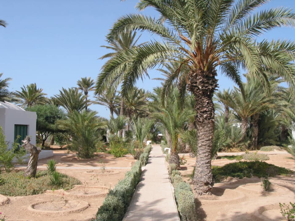 Hotelanlage Hotel Sangho Club Zarzis