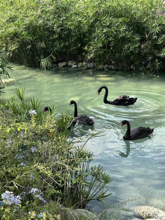 Gartenanlage Rixos Premium Tekirova