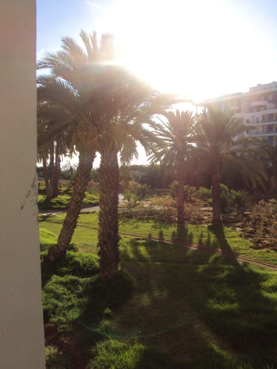 Výhled z pokoje Hotel Marhaba Club