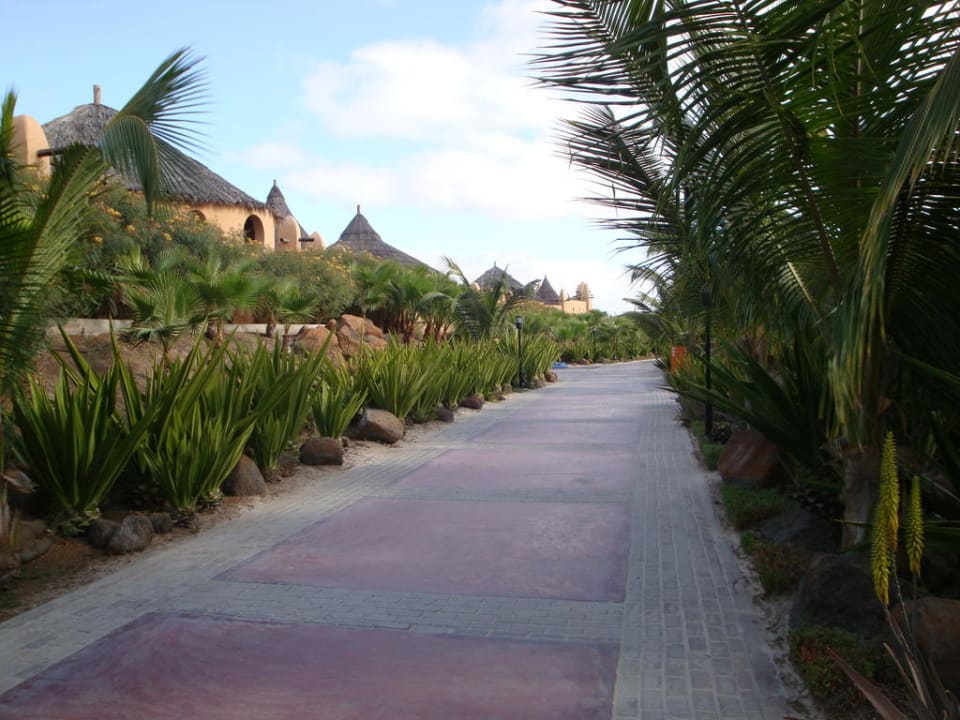 Gartenanlage  Hotel Riu Funana