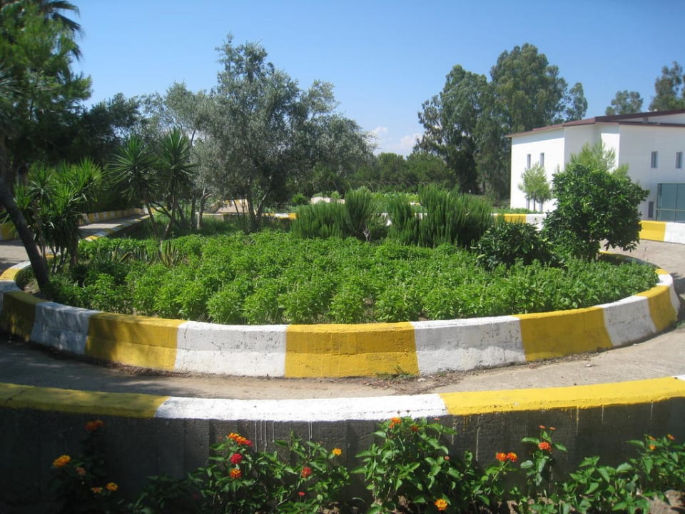 Feng shui Garten Monachus Family Resort Sorgun
