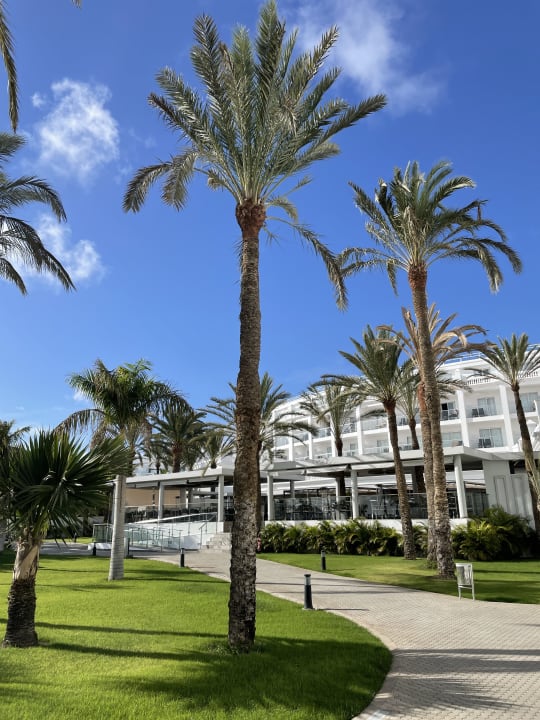 Gartenanlage Hotel Riu Palace Maspalomas Adults Only
