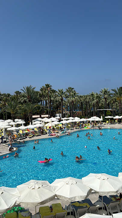 Pool Delphin Deluxe Resort