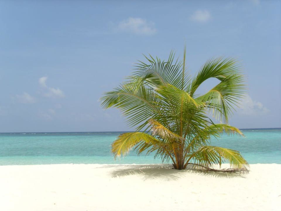 Es geht auch so Summer Island Maldives