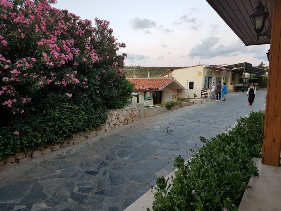 Außenansicht Club Resort Atlantis