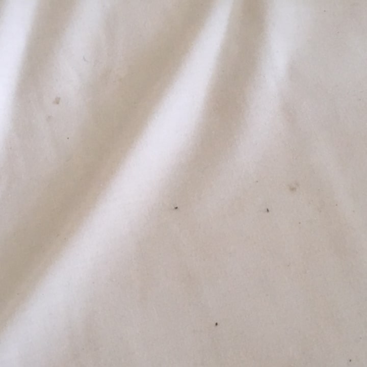 Zimmer Le Jardin Aqua Park Resort