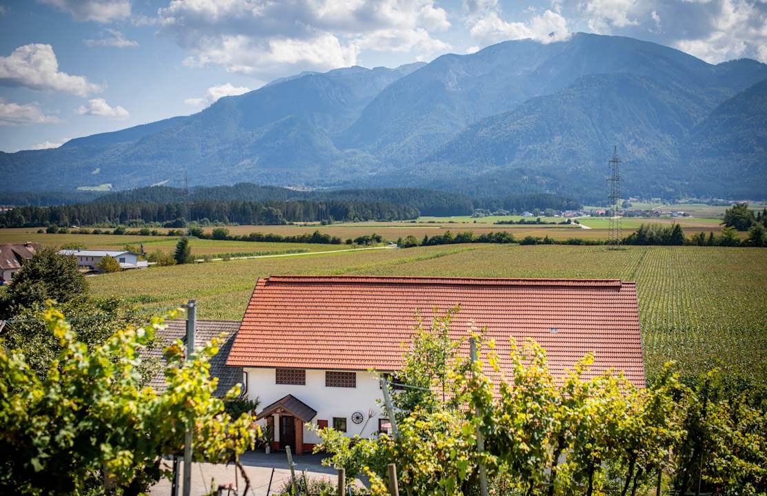 Außenansicht Appartements und Vinoteka David