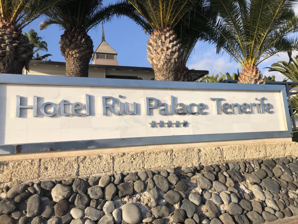 Gartenanlage Hotel Riu Palace Tenerife