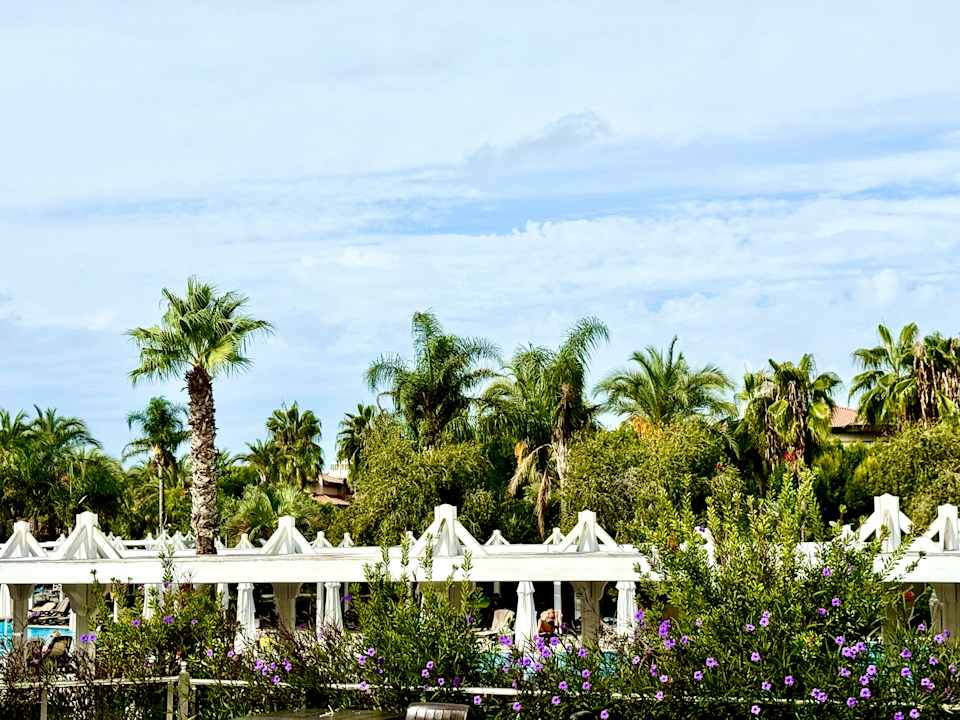 Gartenanlage Calimera Serra Palace