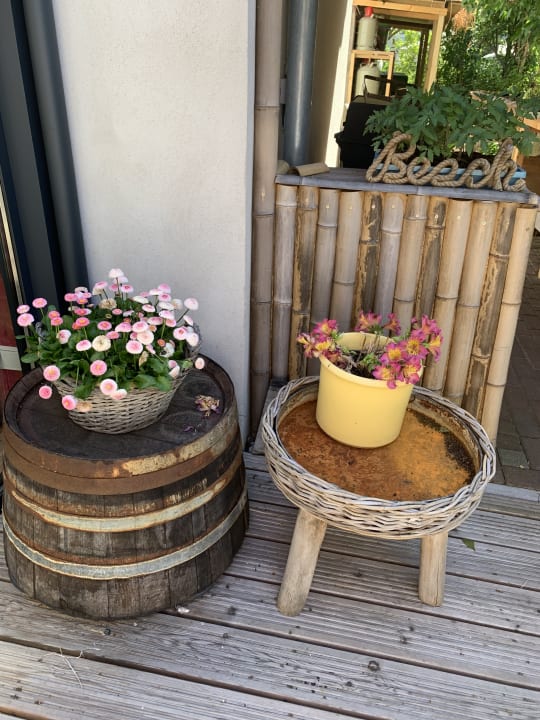 Sonstiges feels Beach Club Hotel