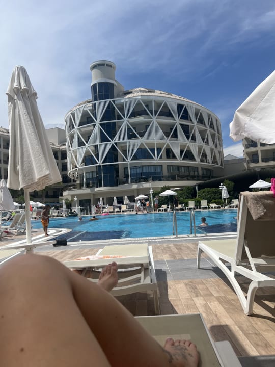 Pool Seashell Vega