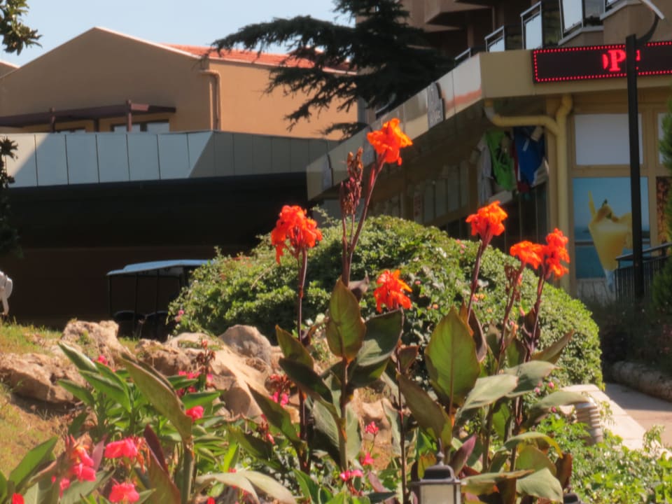 Außenansicht Asteria Family Belek