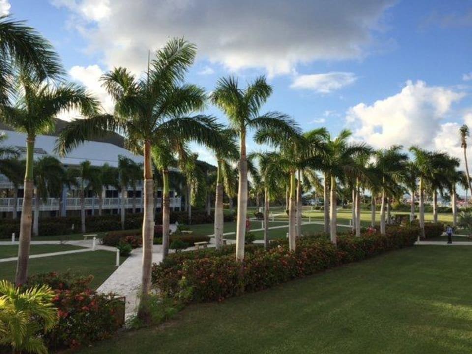 Blick aus dem Fenster Secrets St. Martin Resort & Spa