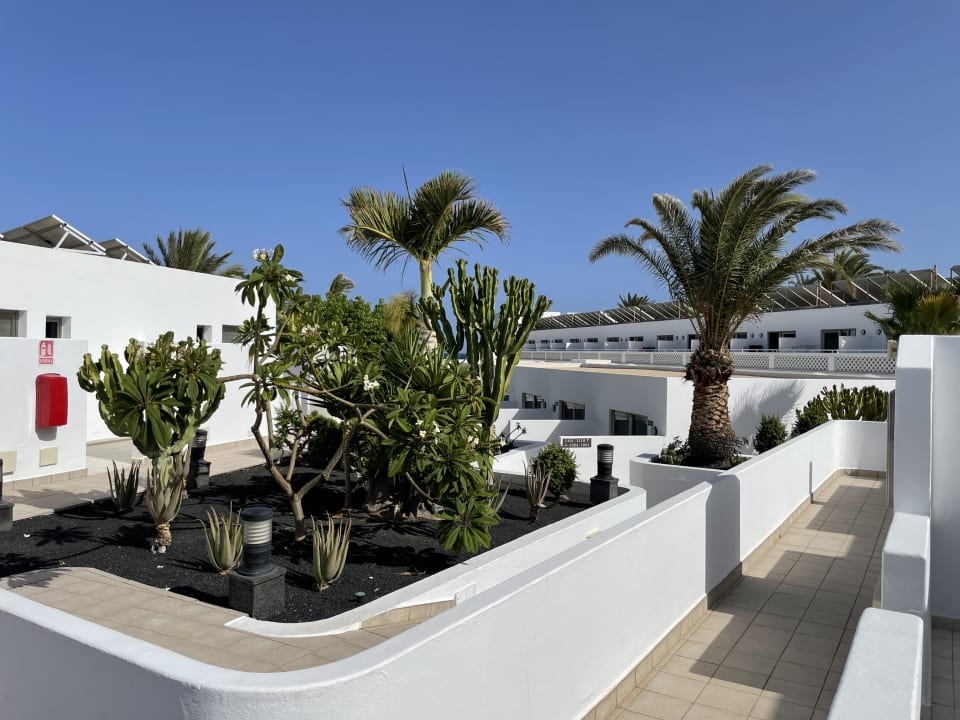 Gartenanlage Hotel Las Costas