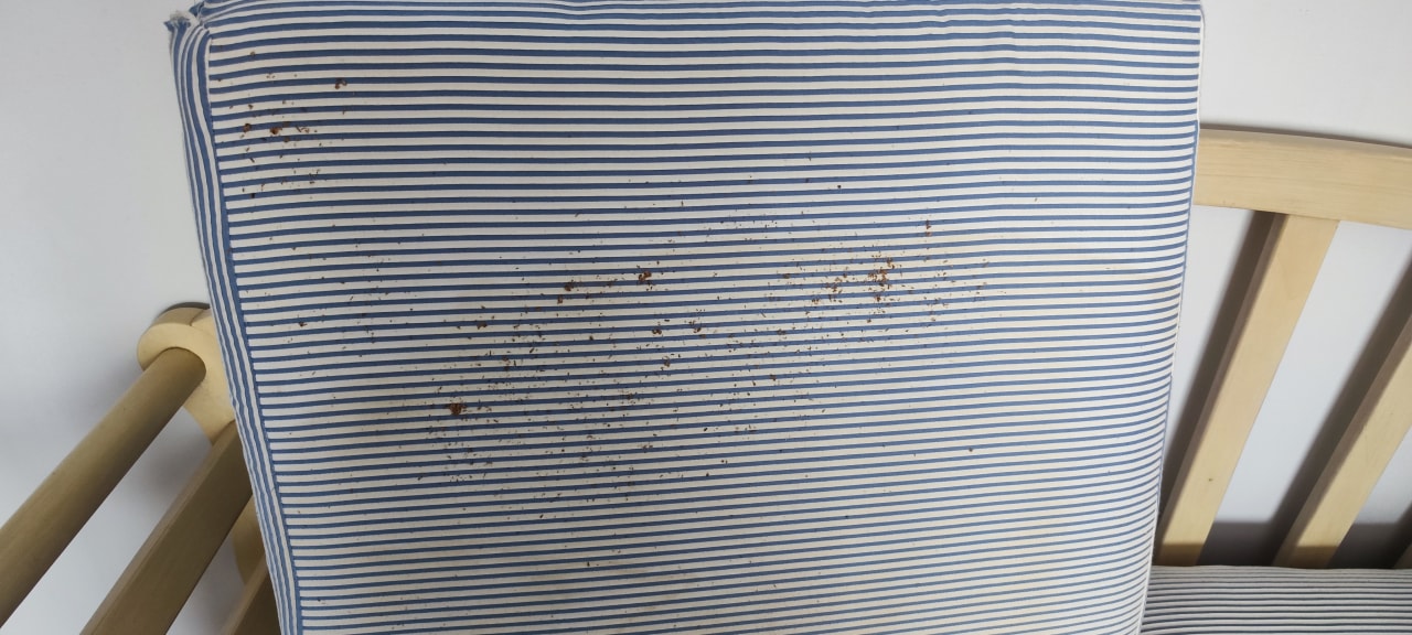 Zimmer Melia Las Dunas