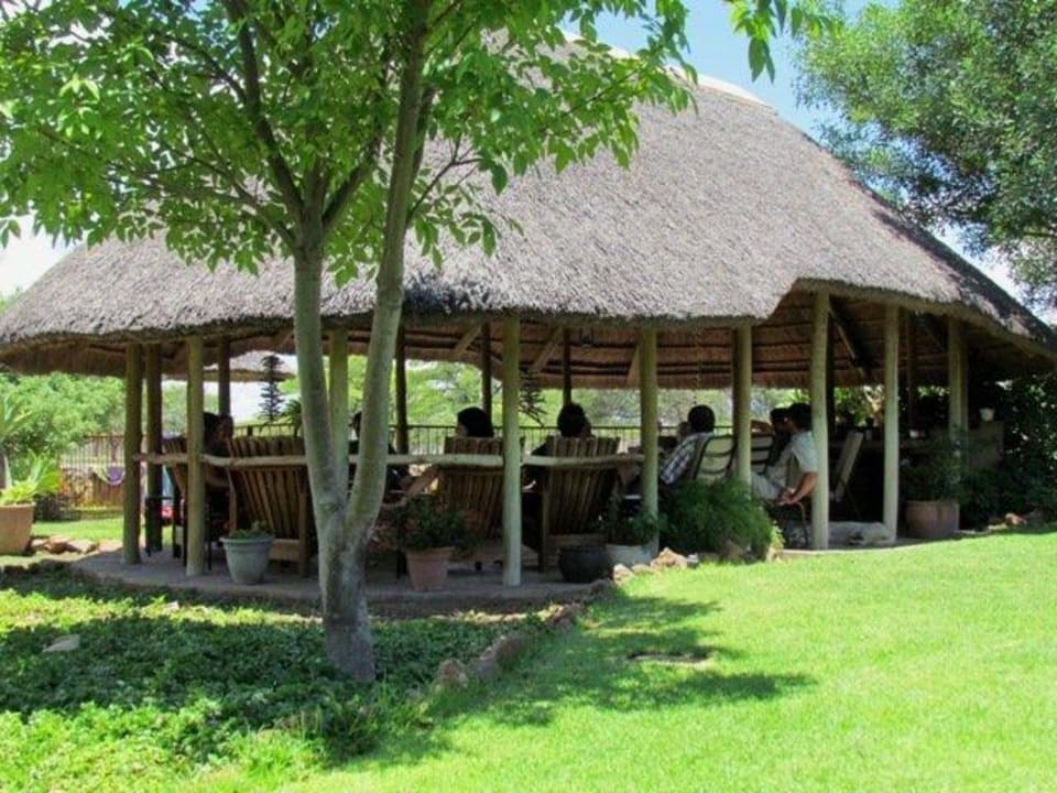 Lapa and swimming pool Buschberg Guest farm