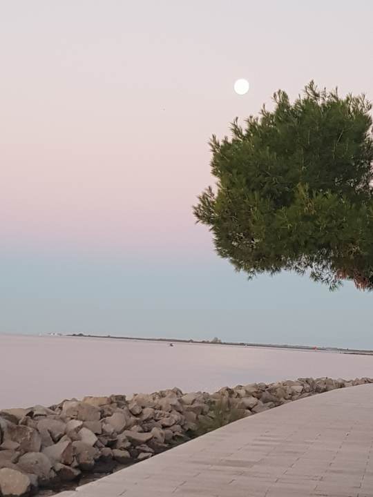 Außenansicht Grand Hotel Astoria