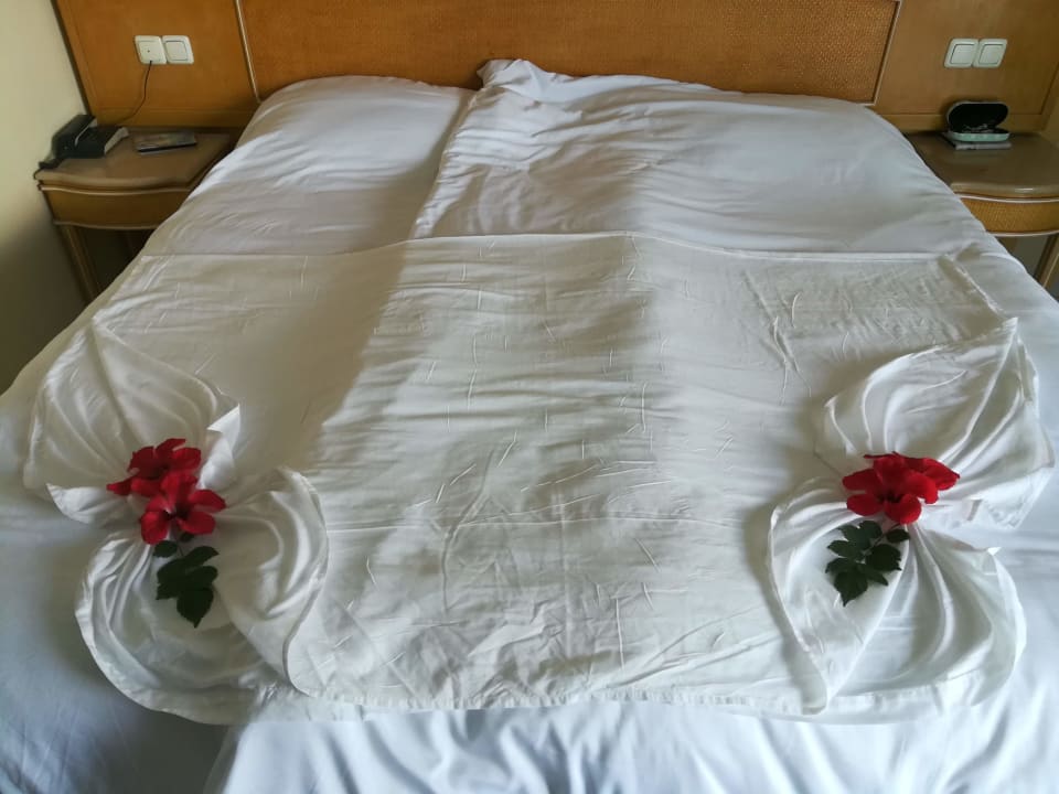 Zimmer Hammamet Garden Resort & Spa
