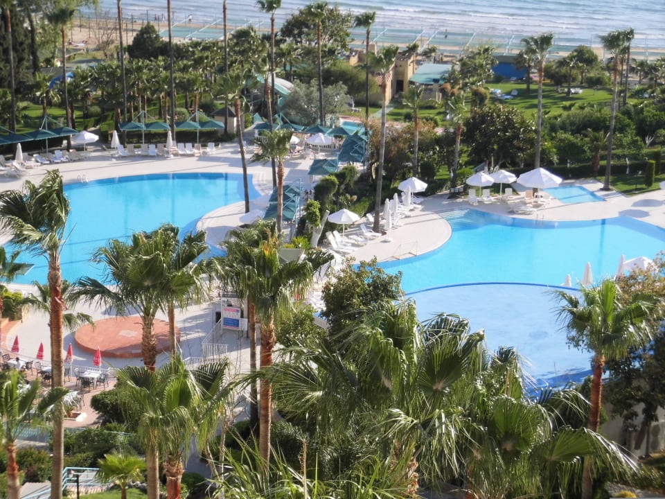Große Auswahl beim Sonnenbaden April 2016 Iz Flower Side Beach Hotel