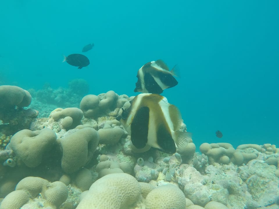 Sport & Freizeit Kuramathi Maldives