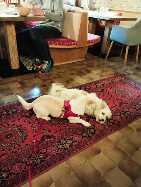 Sonstiges Hotel Johanna mitten im Ötztal