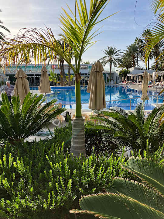 Pool Hotel Riu Papayas