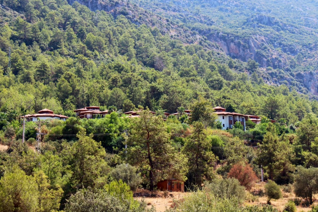 Ausblick Montana Pine Resort