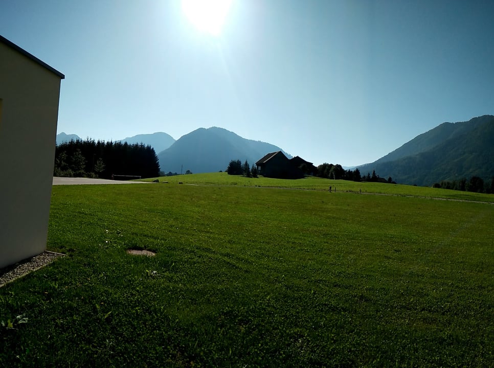 Ausblick Narzissen Vital Resort