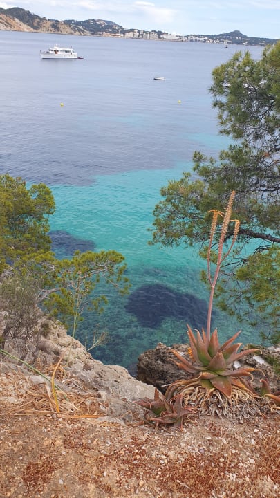 Strand BQ Bulevar Paguera - Adults only
