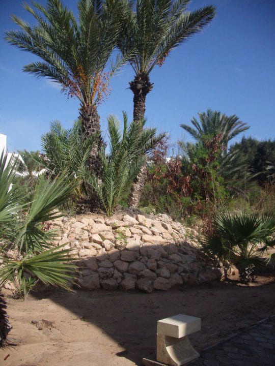 Palmen Club Marmara Palm Beach Djerba