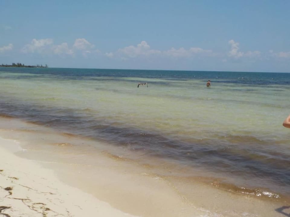 Strand an einem guten Tag BlueBay Grand Esmeralda