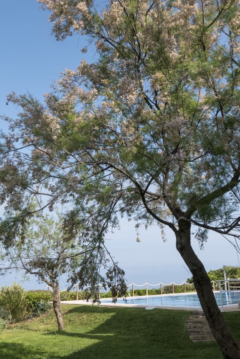 Pool Es Blau des Nord