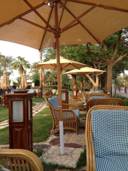 Nette Bar JAZ Fayrouz