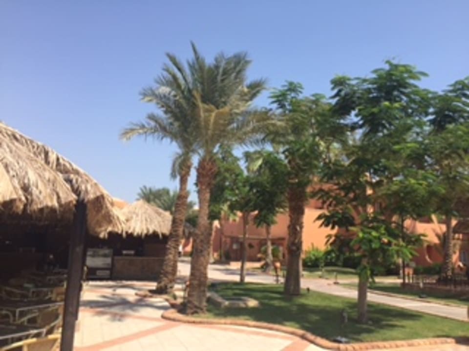 Gartenanlage Jaz Makadi Oasis Resort