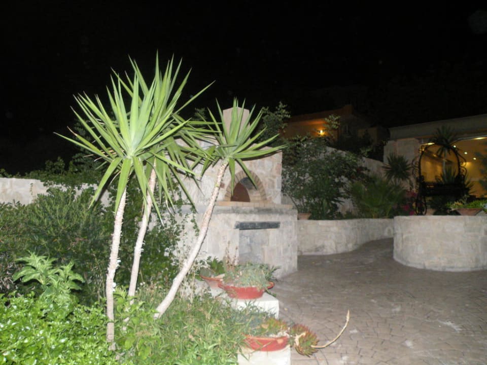 Krzewy hotelowe Hotel Heliotrope