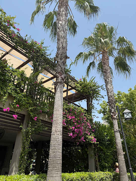 Gartenanlage Adalya Elite Lara